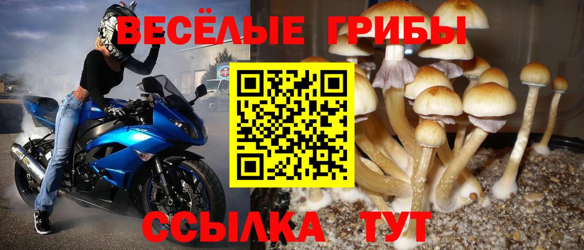 Кызыл  Псилоцибиновые грибы ЛСД  Вход с VPN 