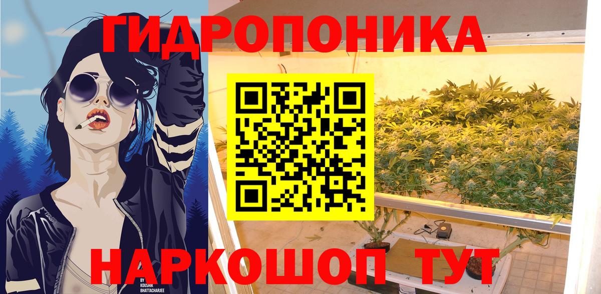 МАРИХУАНА семена Кызыл